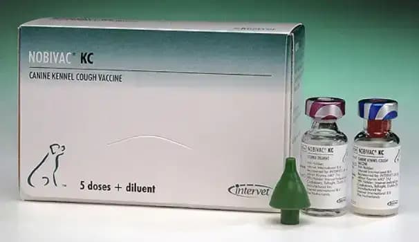 Nobivac KennelCough Vaccine