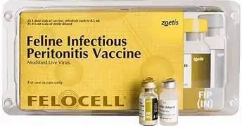 Fellocell Vaccine 