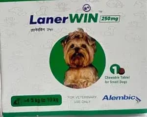 Lanerwin Chew Tablet 