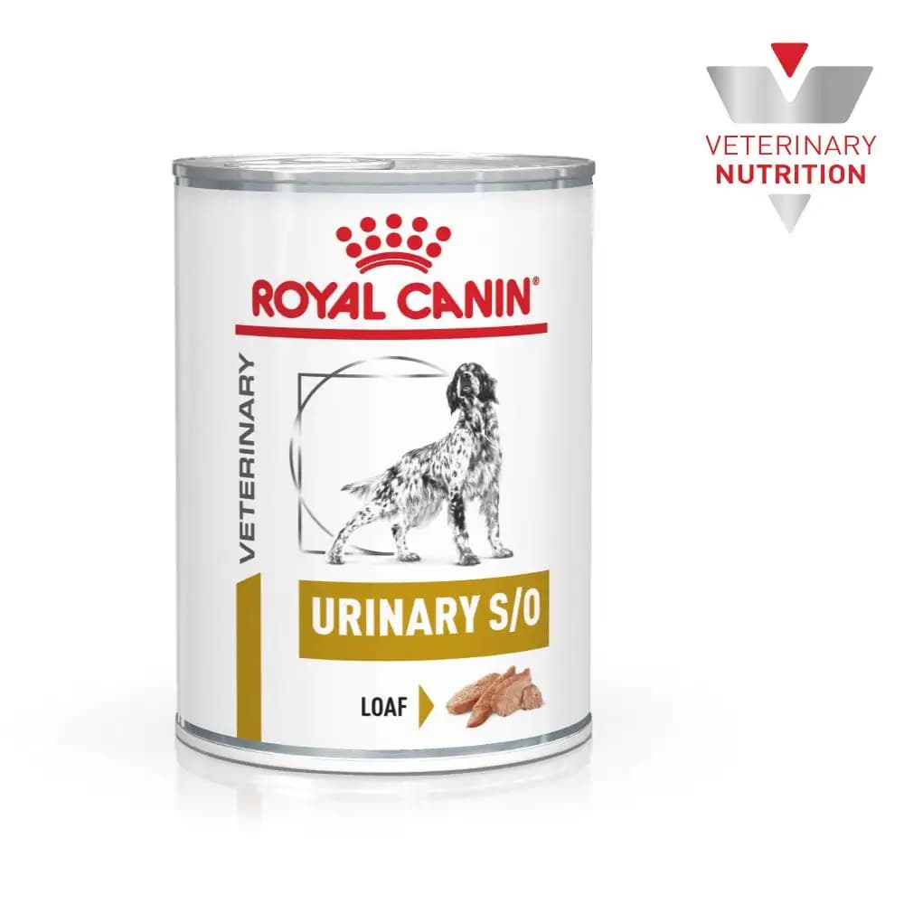 Royal Canin Urinary Can Wet Dog  Food – Buy Royal Canin online India at Dr. Venky's Pet Store