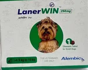 Lanerwin Chew Tablet 