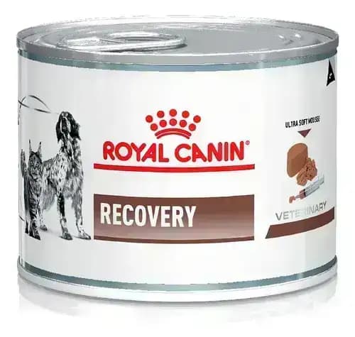 Royal Canin Recovery Can Wet Dog Food – Buy Royal Canin online India at Dr. Venky's Pet Store