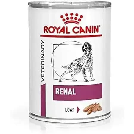 Royal Canin Renal Wet Can Food – Buy Royal Canin online India at Dr. Venky's Pet Store