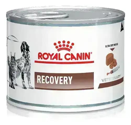 Royal Canin Recovery Can Wet Dog Food – Buy Royal Canin online India at Dr. Venky's Pet Store