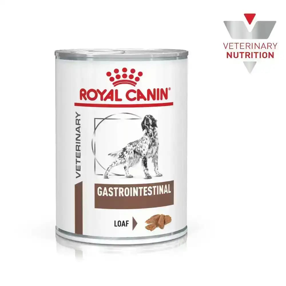 Royal Canin Intestinal Can Wet Food – Buy Royal Canin online India at Dr. Venky's Pet Store