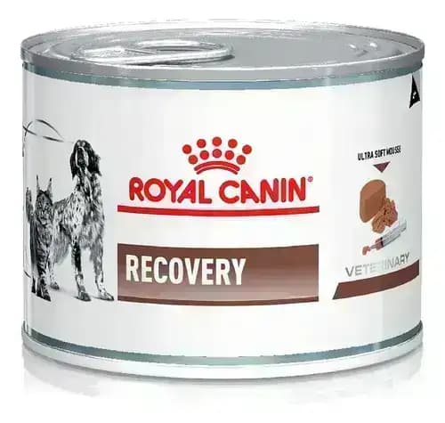 Royal Canin Recovery Can Wet Dog Food – Buy Royal Canin online India at Dr. Venky's Pet Store